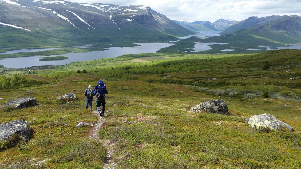 Отель Gomobu Fjellstue Рон Экстерьер фото